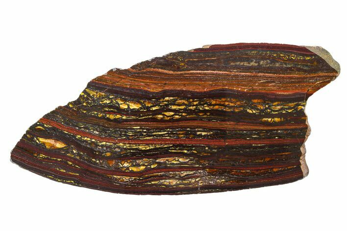 Polished Tiger Iron Stromatolite Slab - Billion Years #317907